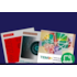 Combo Cognição (AOL; G38; TEM-R-2)