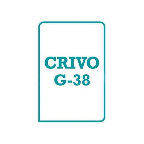 G-38 Crivo de Correção | Wedja Psicologia